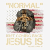 Normal Isn't Coming Back Jesus Is Revelation 14 Cross Lion Graphic Youth T-shirt | Artistshot