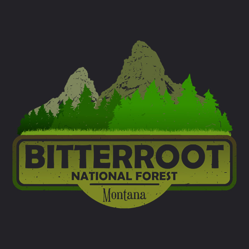 Bitterroot National Forest Mt State, Montana Usa, Nature Landscape Youth Tee by kayakbetween30 | Artistshot