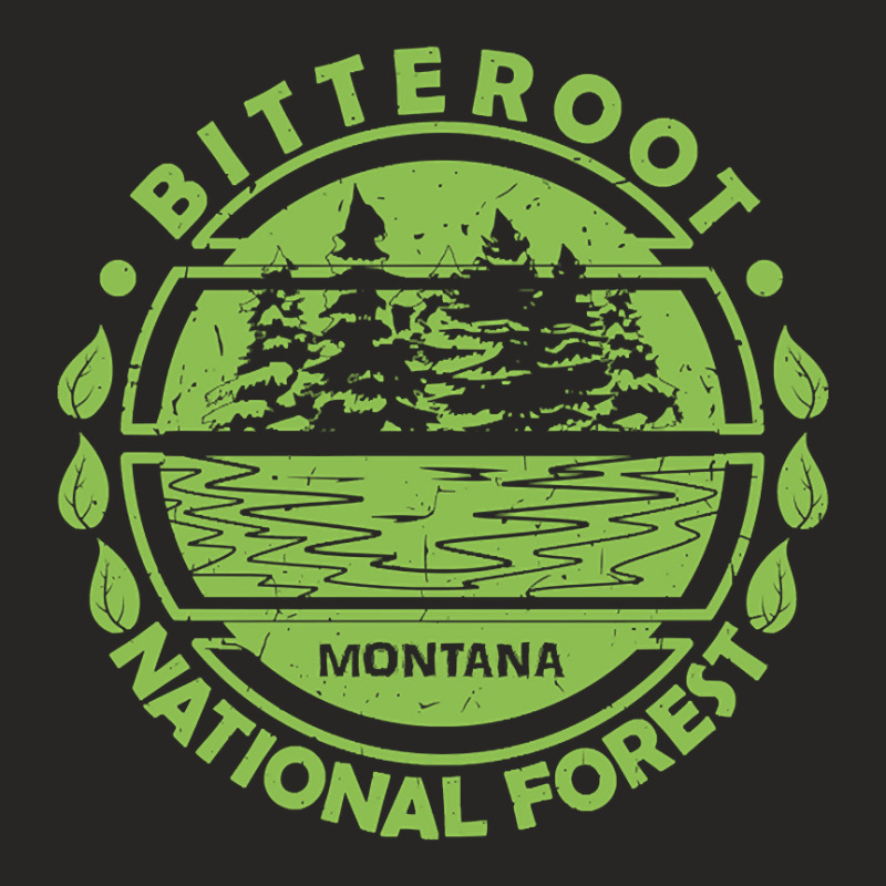 Bitterroot National Forest, Montana State, Nature Landscape Ladies Fitted T-Shirt by kayakbetween30 | Artistshot