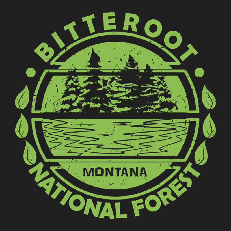 Bitterroot National Forest, Montana State, Nature Landscape Ladies Polo Shirt by kayakbetween30 | Artistshot