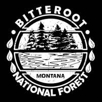 Bitterroot National Forest, Montana State, Nature Landscape-rjrn6 Youth Hoodie | Artistshot