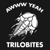 Aww Yeah Trilobites Science Flannel Shirt | Artistshot