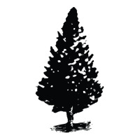 Christmas Tree Design, Tree Artwork, Single Tree Design, Conifer Toddler T-shirt | Artistshot