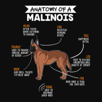 Anatomy Of A Malinois Crop Top | Artistshot