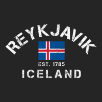 Limited Edition Reykjavik Iceland Est. 1785 Flag Souvenir Gift Unisex Hoodie | Artistshot