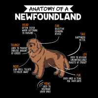 Anatomy Of A Newfoundland Youth Jogger | Artistshot