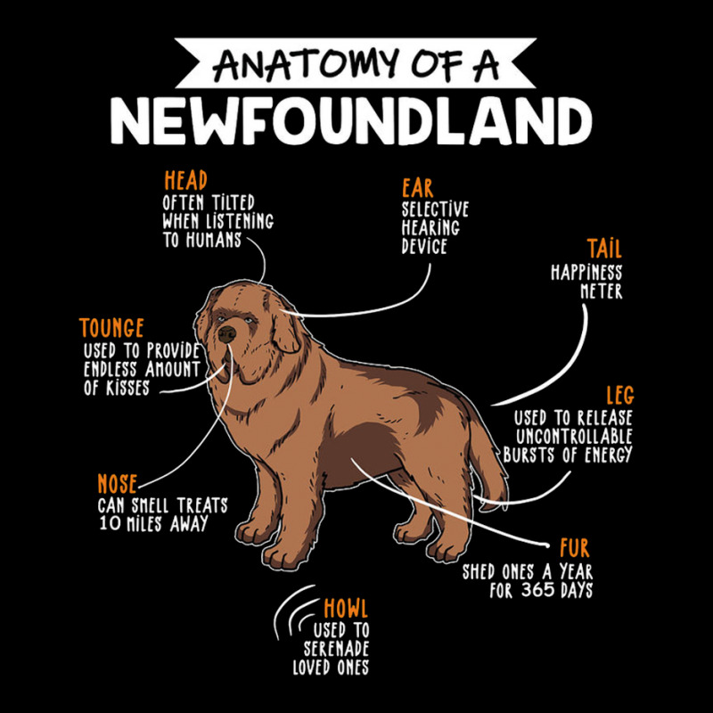 Anatomy Of A Newfoundland Youth Jogger by eshop4me | Artistshot