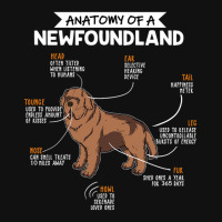 Anatomy Of A Newfoundland Graphic Youth T-shirt | Artistshot