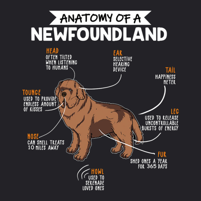 Anatomy Of A Newfoundland Youth Tee by eshop4me | Artistshot