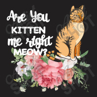 Cat Maine Coon Gift Kidding Kitten Meow Pussycat T-shirt | Artistshot