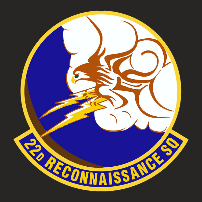 22d Reconnaissance Squadron (u.s. Air Force) Ladies Fitted T-Shirt by Weasetu1379 | Artistshot