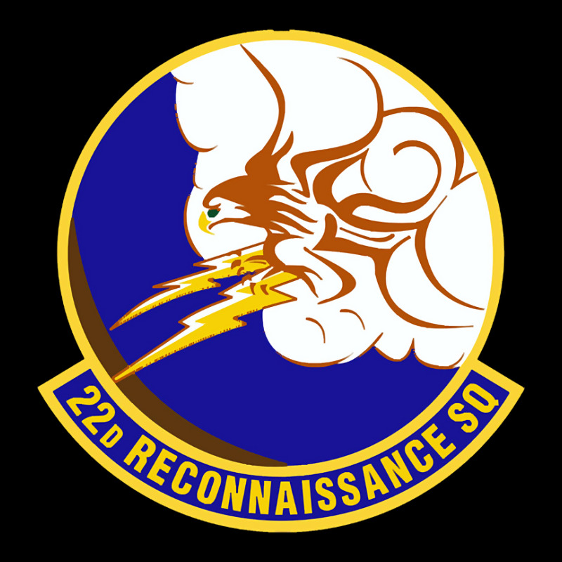 22d Reconnaissance Squadron (u.s. Air Force) Legging by Weasetu1379 | Artistshot