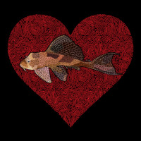 Hot Trend Plecostomus Valentines Day Fish Love Fingerprint Women's V-neck T-shirt | Artistshot