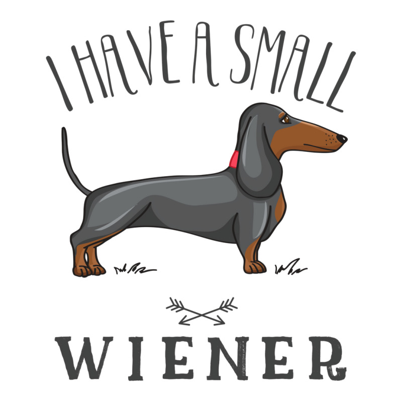 I Have A Small Wiener V-Neck Tee by fanteeseylas | Artistshot