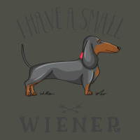 I Have A Small Wiener Fleece Short | Artistshot