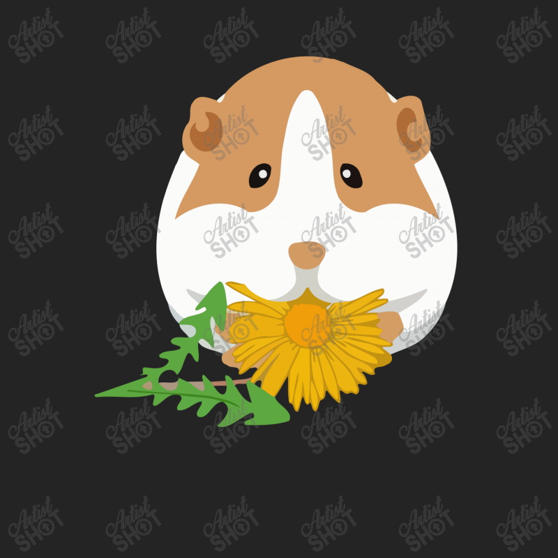 Cute Guinea Pig 3/4 Sleeve Shirt | Artistshot