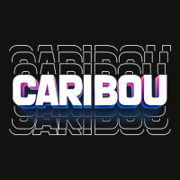 Caribou City Scorecard Crop Tee | Artistshot