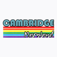 Cambridge Maryland Pride Shirt Cambridge Lgbt Gift Lgbtq Supporter Tee T-shirt | Artistshot