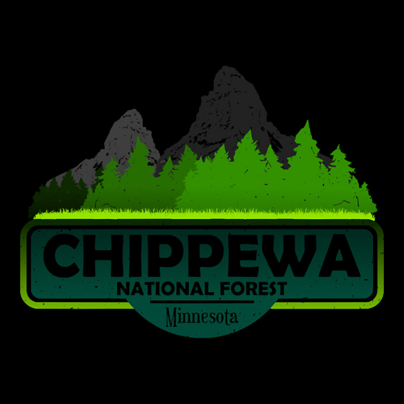 Chippewa National Forest Mn State, Minnesota Usa, Nature Landscape Youth Sweatshirt by venbytumny | Artistshot