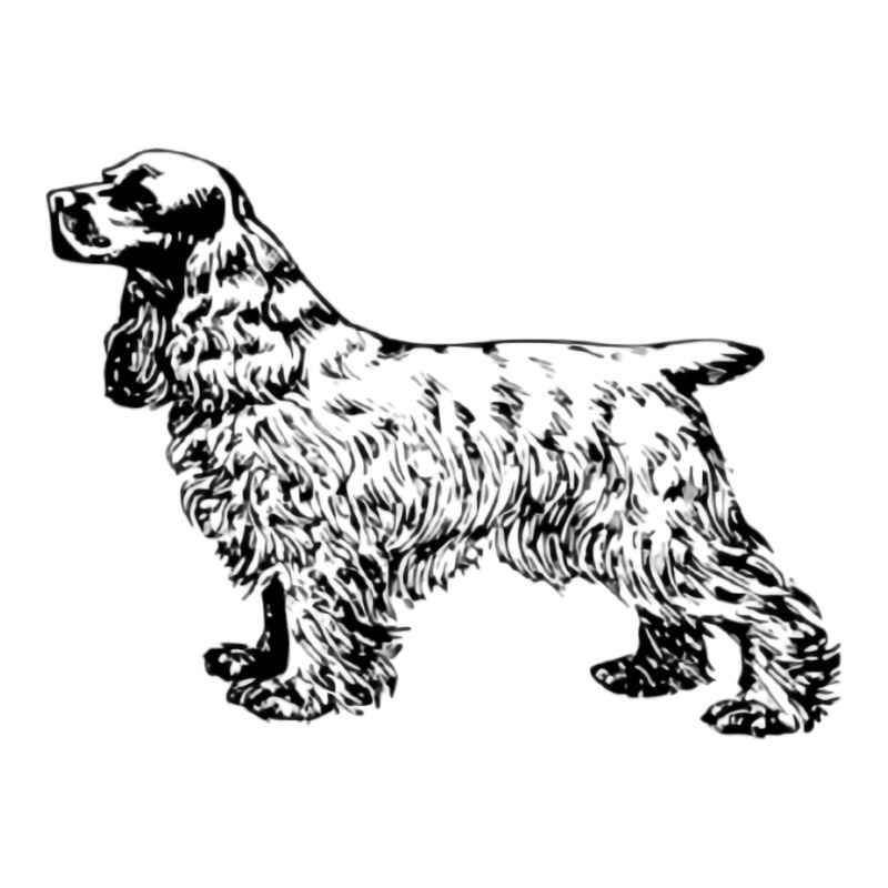 Cocker Spaniel Illustration 3/4 Sleeve Shirt by dynhomuicz | Artistshot