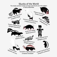 Skunks Of The World Species Of Mephitidae T Shirt Adjustable Cap | Artistshot