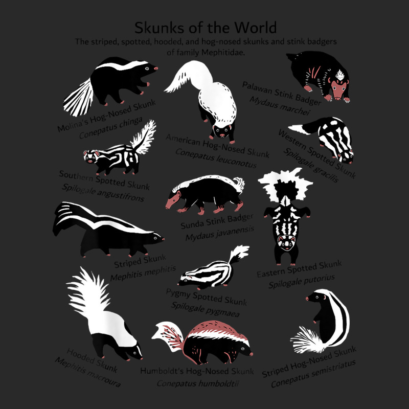 Skunks Of The World Species Of Mephitidae T Shirt Printed Hat | Artistshot