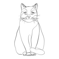 Sitting Cat Line Art Sticker | Artistshot