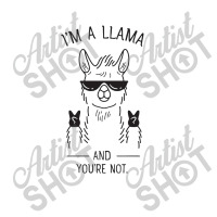 I'm A Llama And You're Not Women's V-neck T-shirt | Artistshot