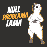 Llama Funny T  Shirt No Problem Lama T  Shirt Champion Hoodie | Artistshot