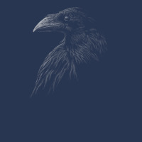 Limited Edition Mystical Black Raven Illustration Crow Artwork Men Denim Jacket | Artistshot