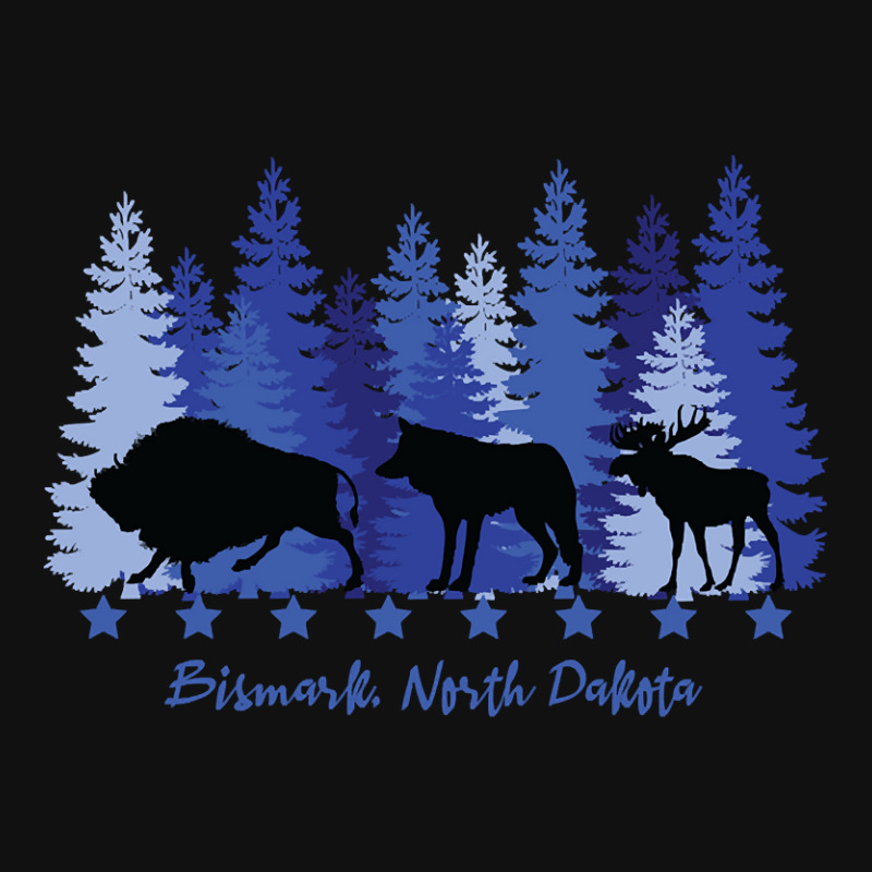 Bismark North Dakota-jnmer Graphic Youth T-shirt by fashionghetto297 | Artistshot