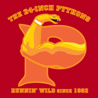 The 24 Inch Pythons Classic T-shirt | Artistshot