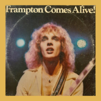 Frampton Comes Alive Essential Vintage Hoodie And Short Set | Artistshot