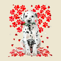 Cute Love Dalmatian Dog Valentine Pet Dog Lover T Shirt Cropped Hoodie | Artistshot