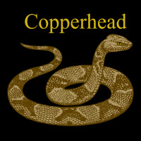 Copperhead Snake Venomous Pit Viper Pullover Hoodie Fleece Short | Artistshot