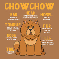 Chow Chow Anatomy Funny Dog Mom Dad Cute Vintage Short | Artistshot