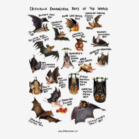 Critically Endangered Bats Of The World Adjustable Cap | Artistshot