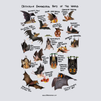 Critically Endangered Bats Of The World Bucket Hat | Artistshot