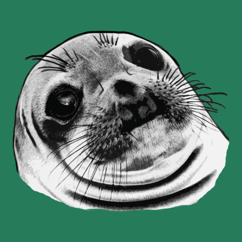 Awkward Seal T-Shirt by michertattelc | Artistshot