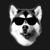 Cool Siberian Husky With Sunglasses Flannel Shirt | Artistshot