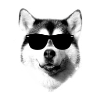 Cool Siberian Husky With Sunglasses Zipper Hoodie | Artistshot