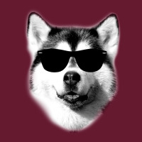 Cool Siberian Husky With Sunglasses Classic T-shirt | Artistshot