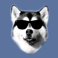 Cool Siberian Husky With Sunglasses Lightweight Hoodie | Artistshot