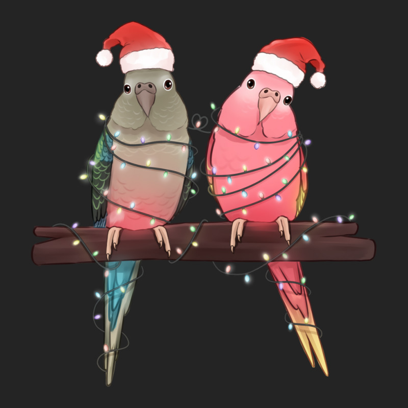 Christmas Parrots 3/4 Sleeve Shirt | Artistshot