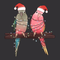 Christmas Parrots Vintage Hoodie And Short Set | Artistshot