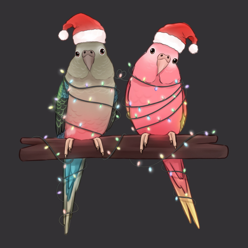 Christmas Parrots Vintage Hoodie And Short Set | Artistshot