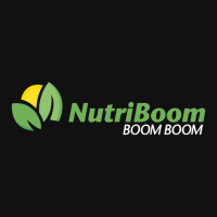 Brooklyn Nutri Boom Charles Holiday Stocking | Artistshot