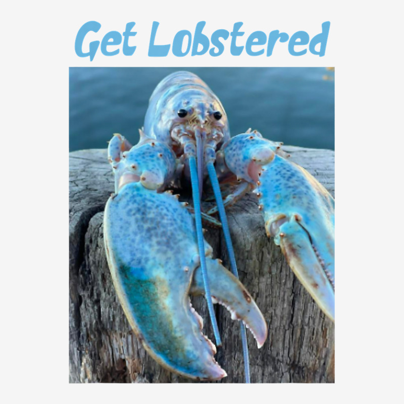 Funny Jumpscare Lobster Meme Blue Crustacean T Shirt Slide Sandal | Artistshot