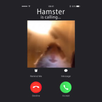 Dank Hamster Staring Front Camera Hamster Calling Youth Tee | Artistshot