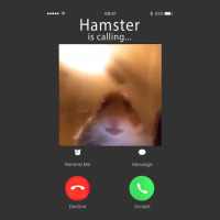 Dank Hamster Staring Front Camera Hamster Calling Baby Bodysuit | Artistshot